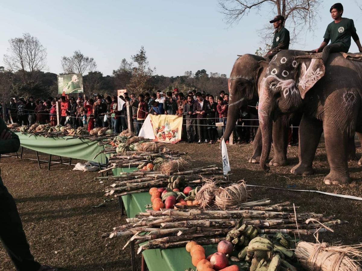 Hotel Chitwan Park Village 索拉哈 外观 照片