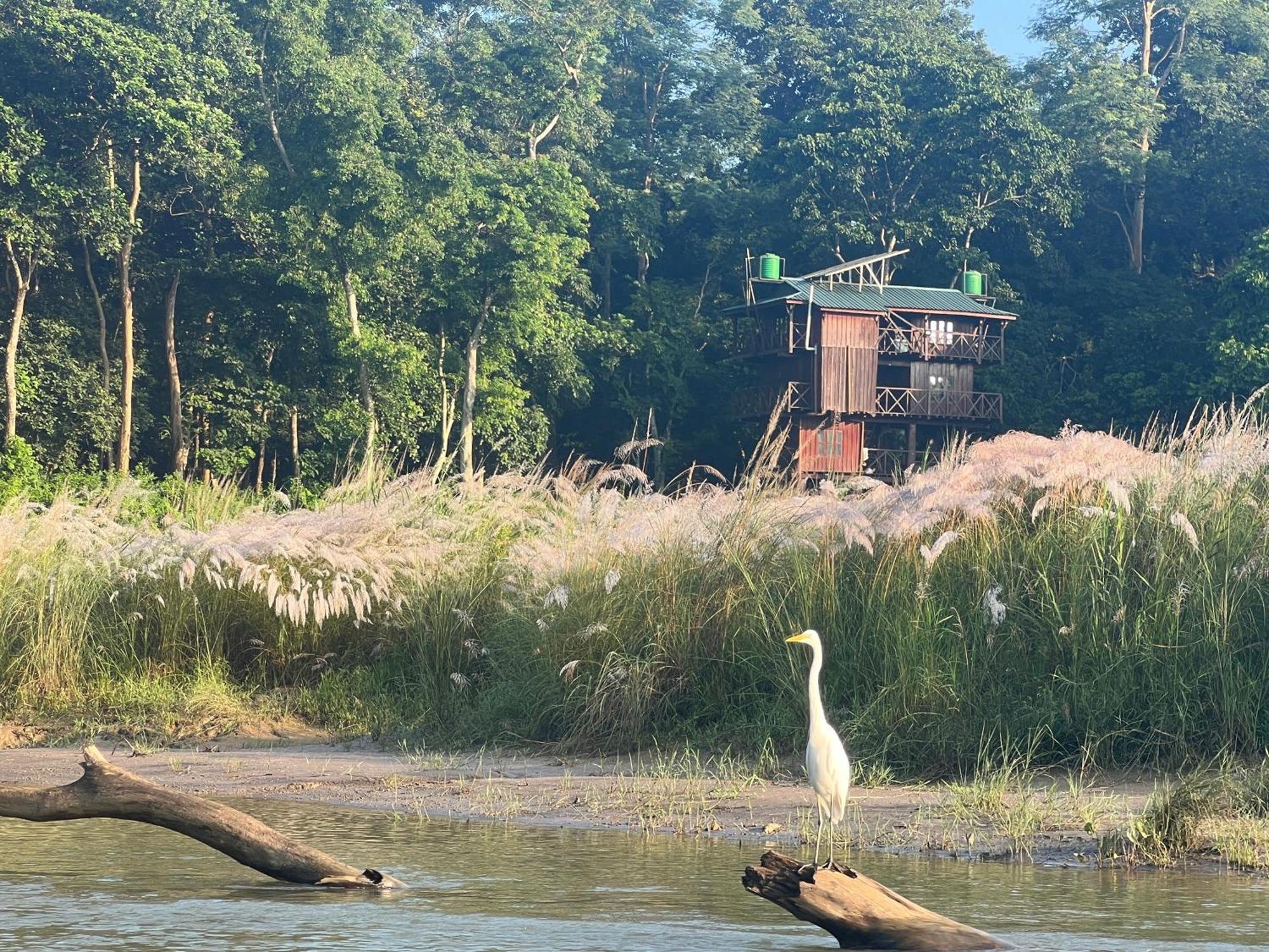 Hotel Chitwan Park Village 索拉哈 外观 照片