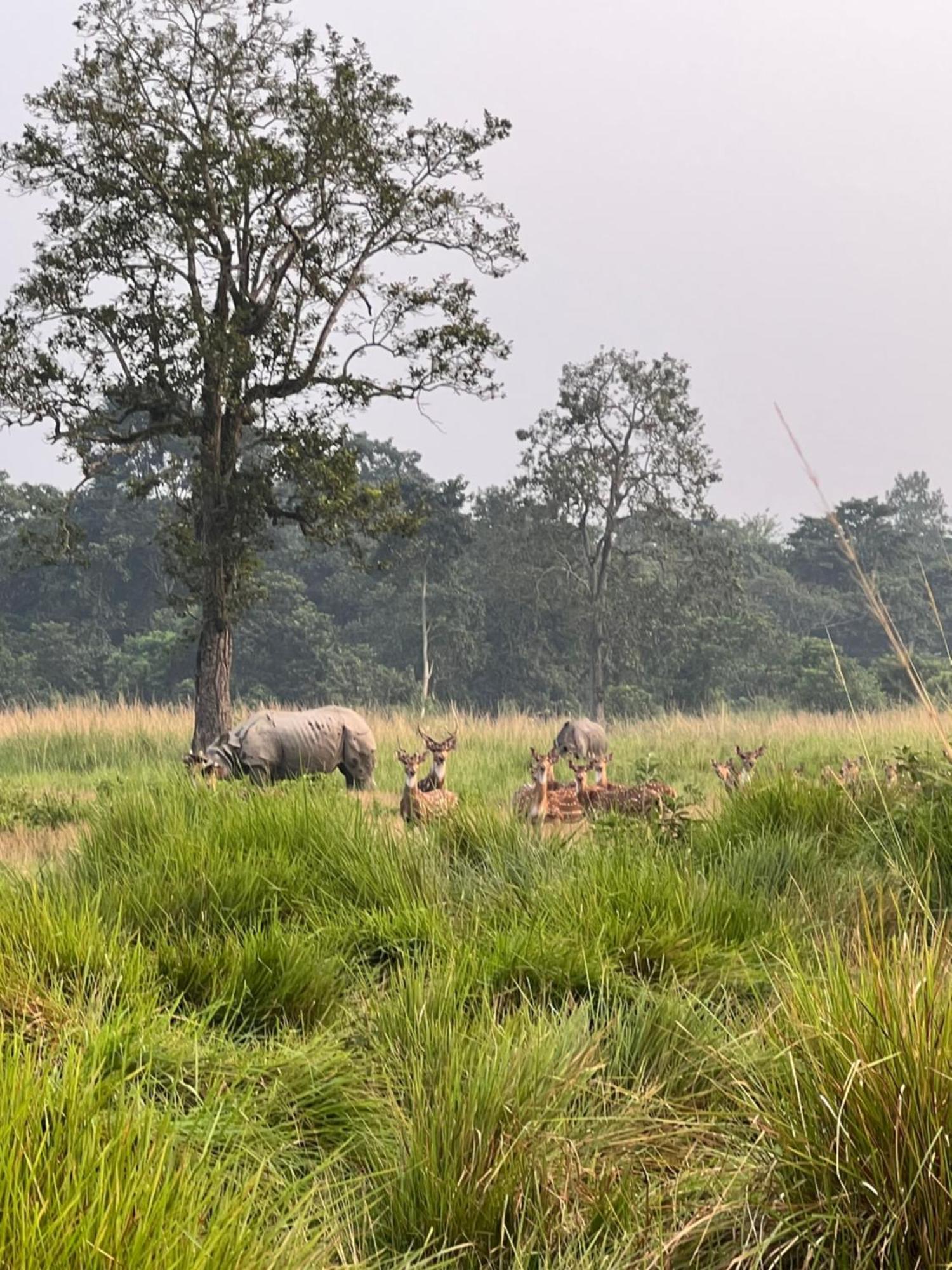 Hotel Chitwan Park Village 索拉哈 外观 照片