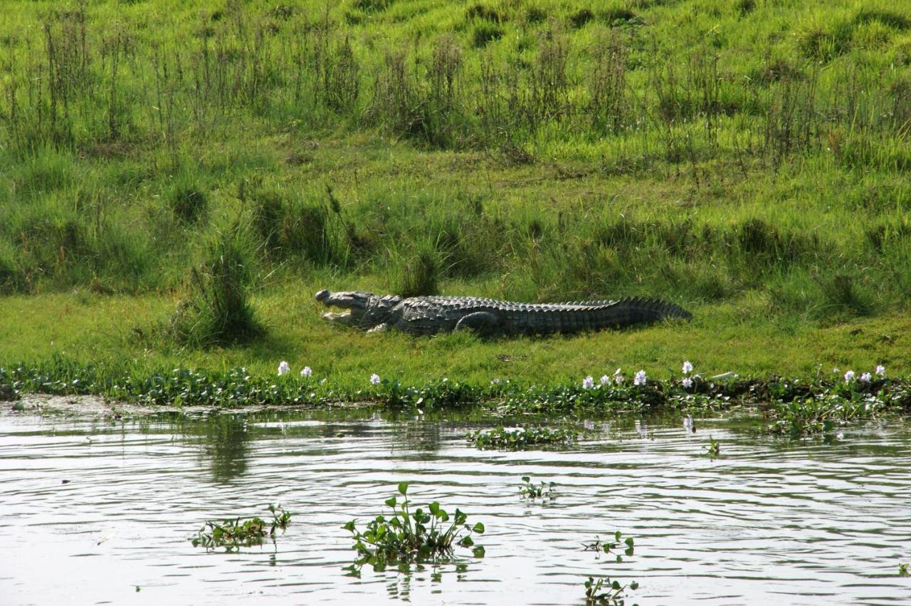 Hotel Chitwan Park Village 索拉哈 外观 照片